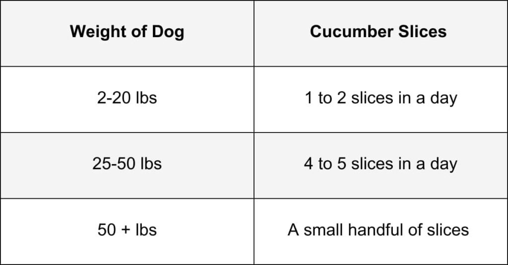 What Is The Optimal Quantity Of Cucumber A Dog Can Have